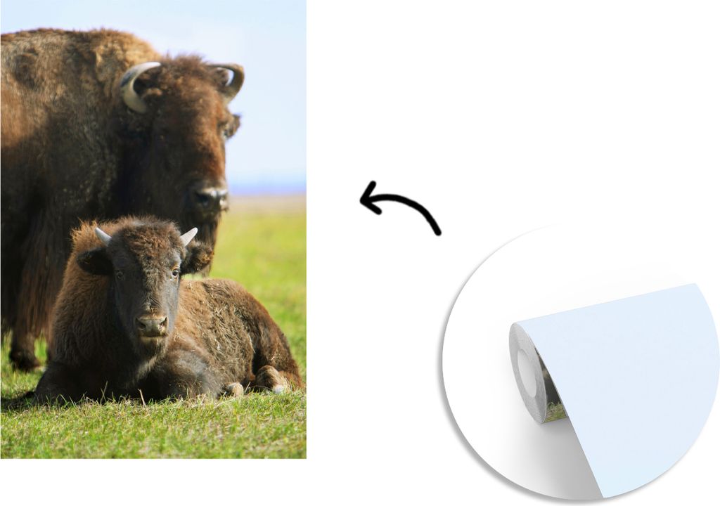 MuchoWow Fototapete für Wohnzimmer oder Schlafzimmer Wandtapete Vinyl Motivtapete Büffel - Gras - Kalb - 150x220 cm - Wandbilder