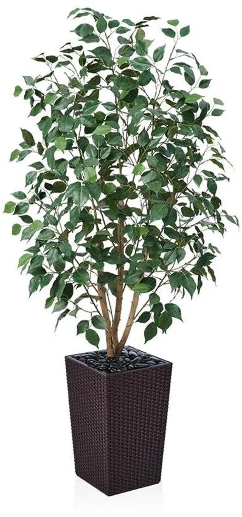 Ficus artificiel traité UV 150 cm avec tronc en bois et pot esthétique