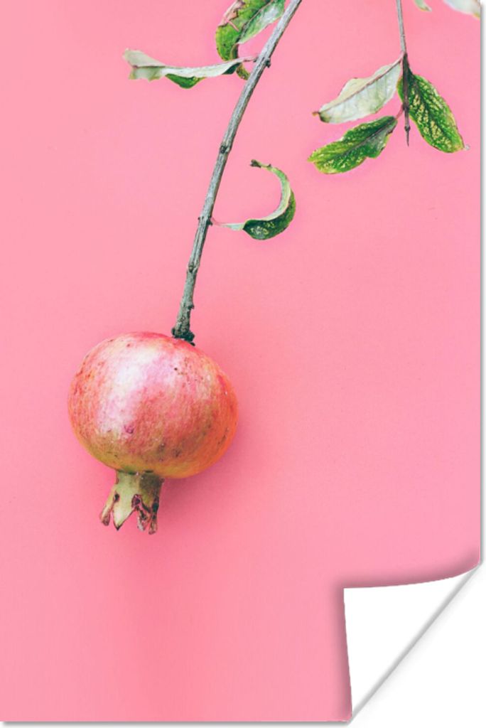 MuchoWow Poster Pflanzen - Sommer - Rosa 40x60 cm - Plakate für die Wand - Poster Babyzimmer
