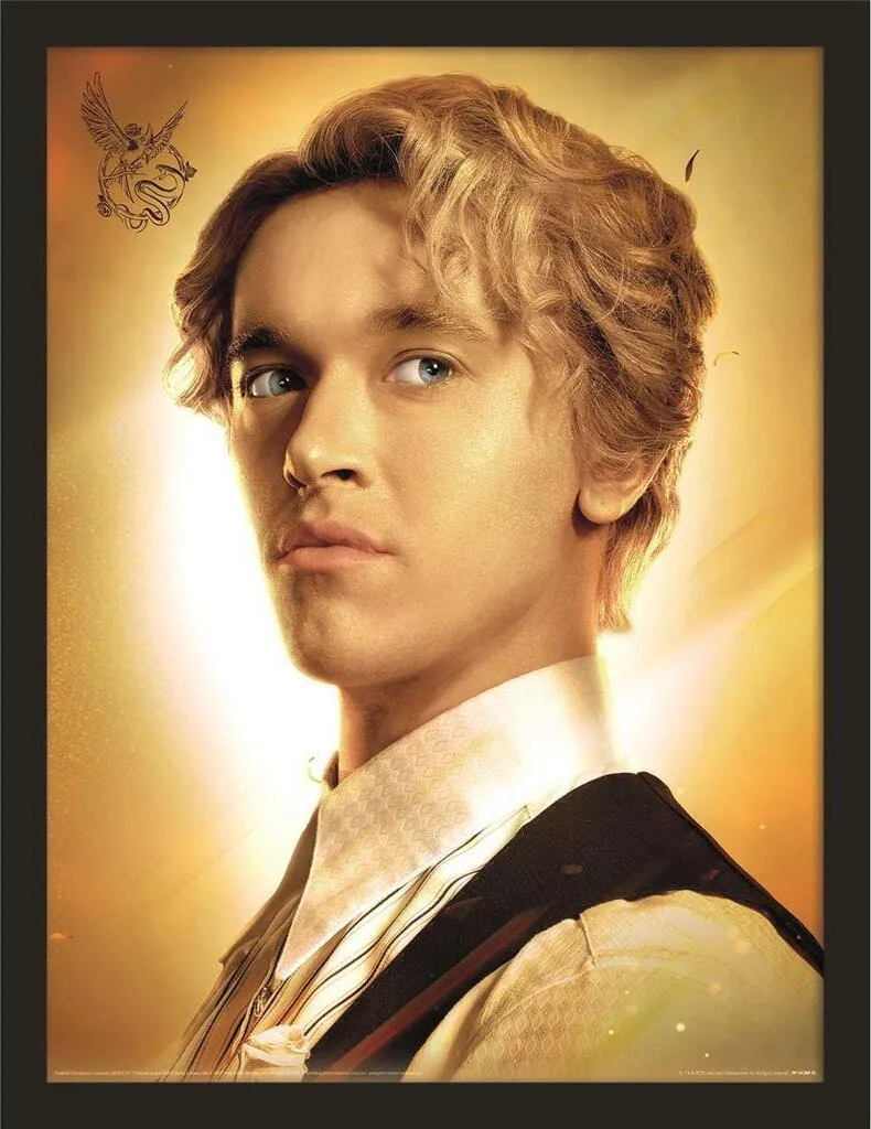 Poster Incorniciato Hunger Games Ballata Serpenti 40x30 PM8103 Bunt