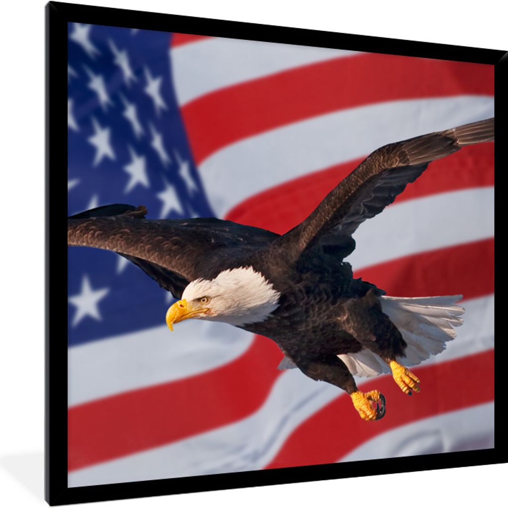 MuchoWow Gerahmtes Poster Amerikanischer Weißkopfseeadler vor der amerikanischen Flagge 40x40 cm - Poster mit Schwarzem Bilderrahmen Wandposter ...