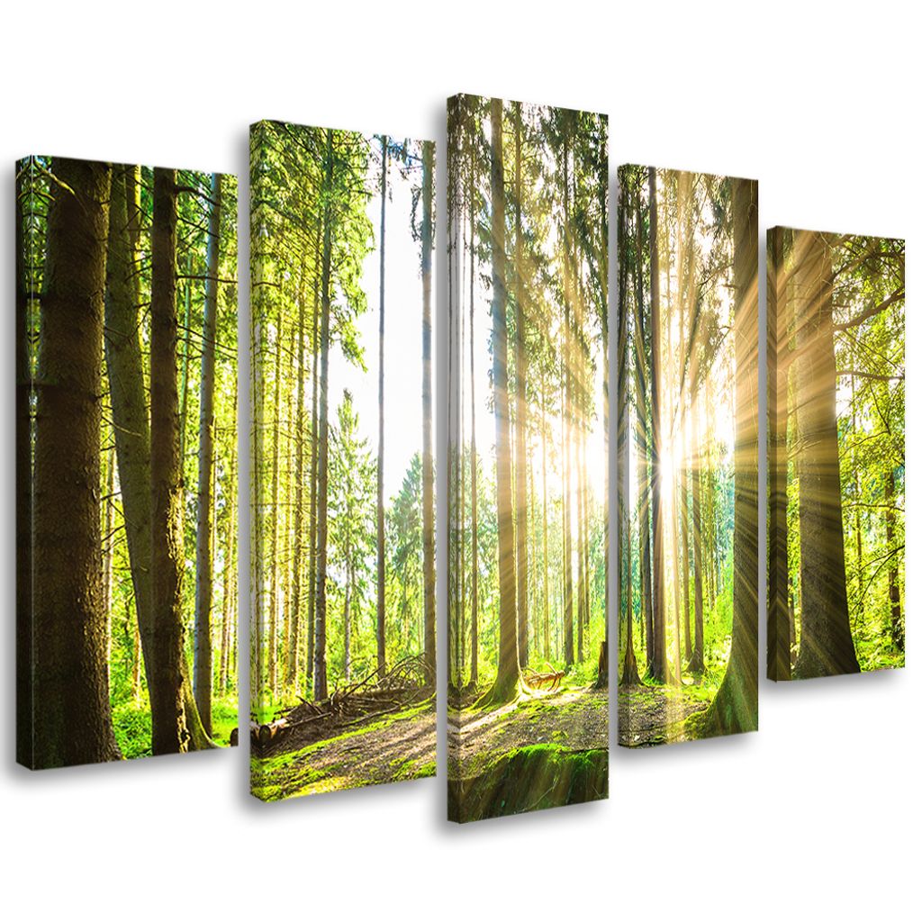 5-teiliges leinwandbild waldbäume natur 200x100 cm Feeby grün wandbild bereit zum aufhängen