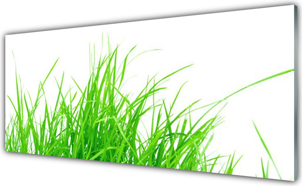 Glasbilder 125x50 Wandbild Druck auf Glas Gras Pflanzen