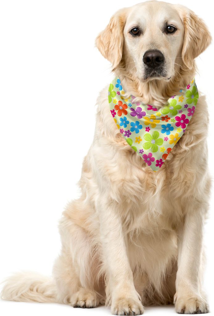 ABAKUHAUS Bunt Haustier Bandana, Sixties Hippie Blumen, 40x40 cm, Mehrfarbig