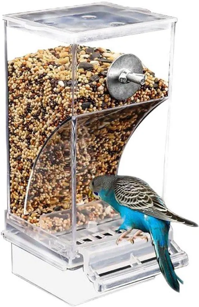 Mangeoire automatique oiseaux : fini le nettoyage quotidien du sol