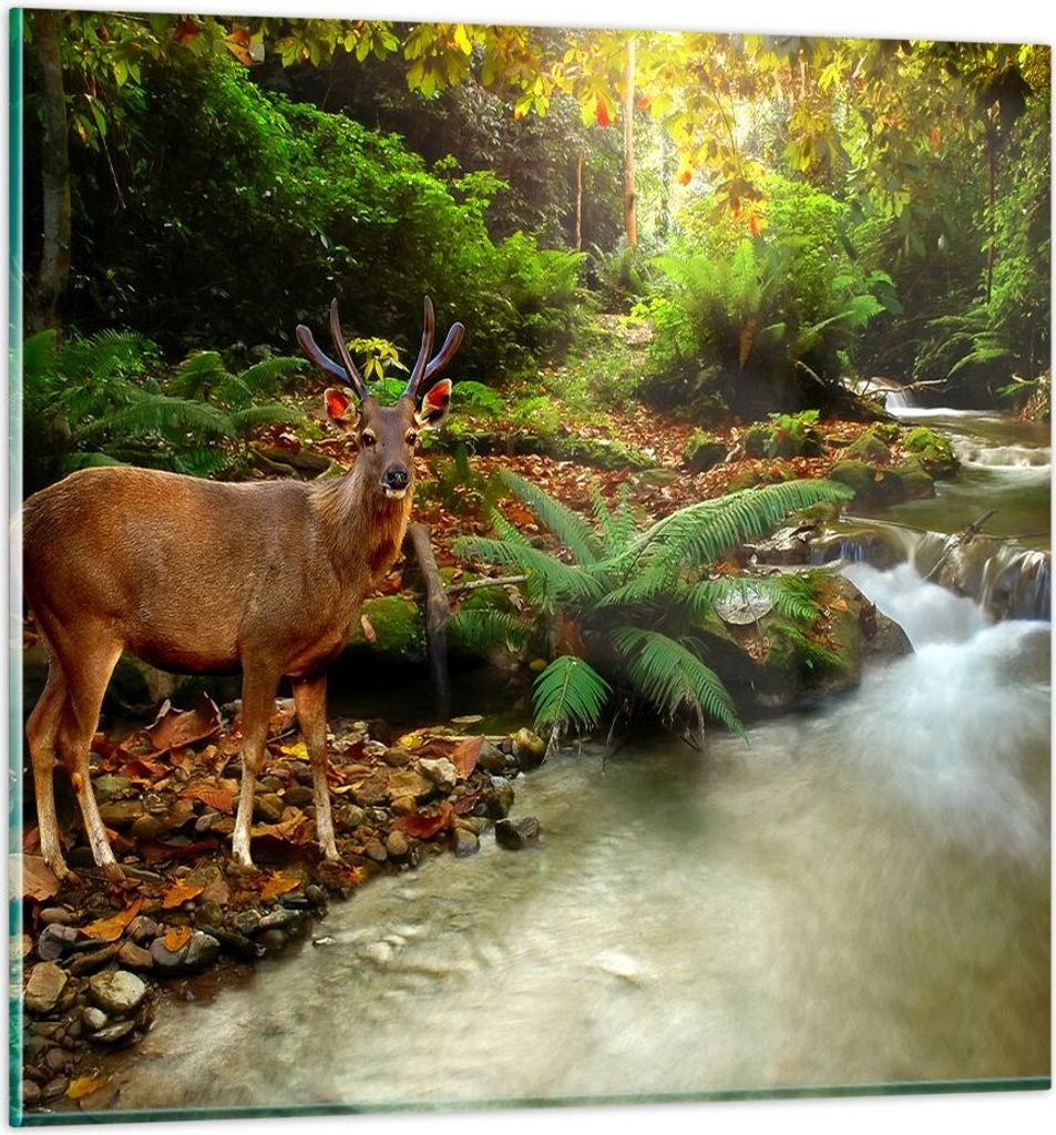 Bilder auf glas - Herbst berg strom landschaft - 70x70cm - Glasbilder - Wandbilder - Kunstdruck - zum Aufhängen bereit - Wanddekoration aus Glas -...