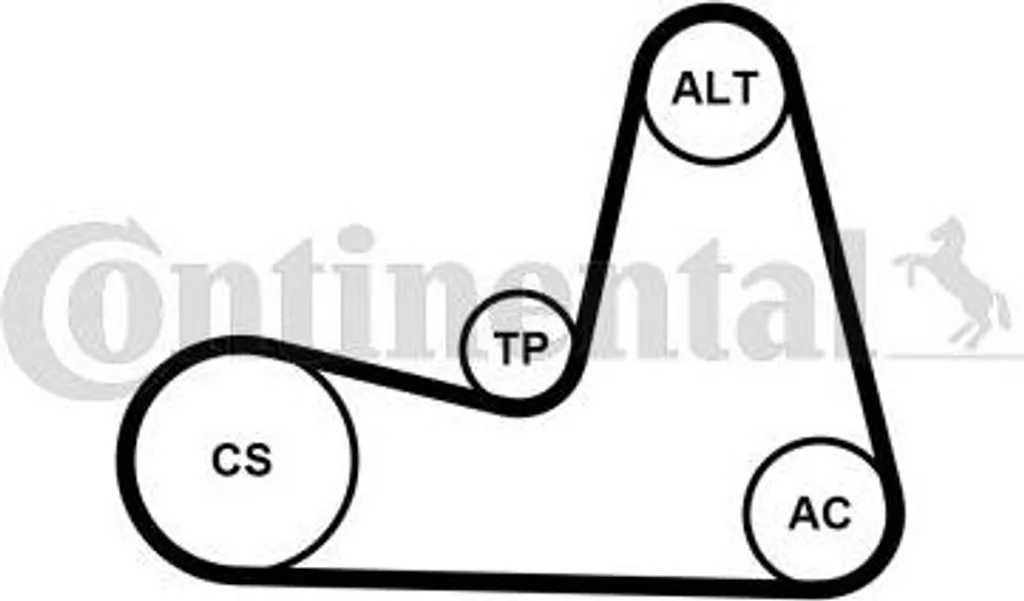 Offerta Kit Continental 7PK1035K1 Cinghia Dentata Renault Clio Modus
