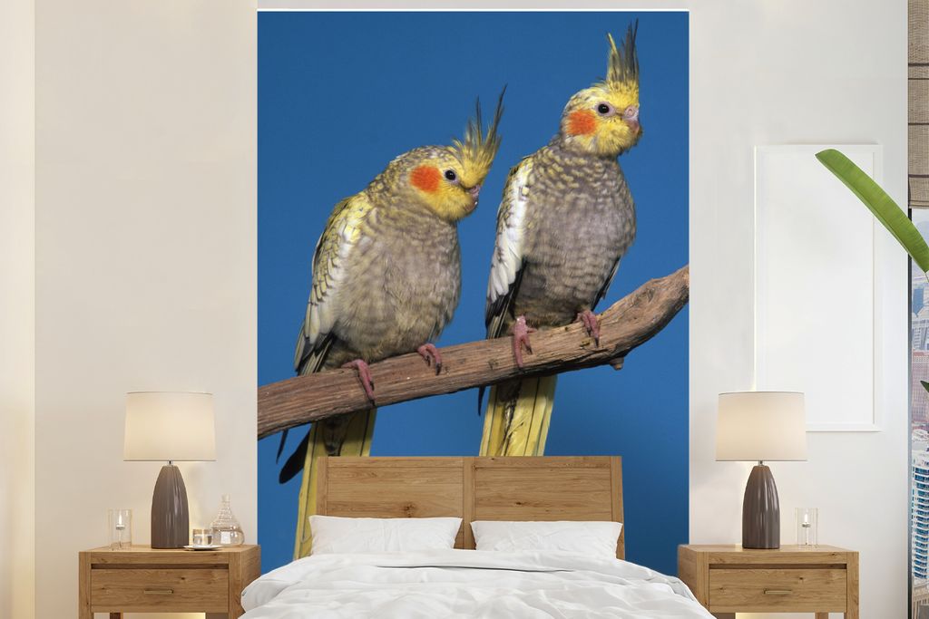 MuchoWow Fototapete für Wohnzimmer oder Schlafzimmer Wandtapete Vinyl Motivtapete Zwei junge Kakadus auf einem Ast - 145x220 cm - Wanddekoration
