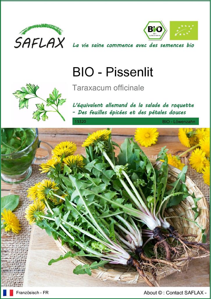 SAFLAX  -- Pissenlit - 400 graines - Taraxacum Image du produit 