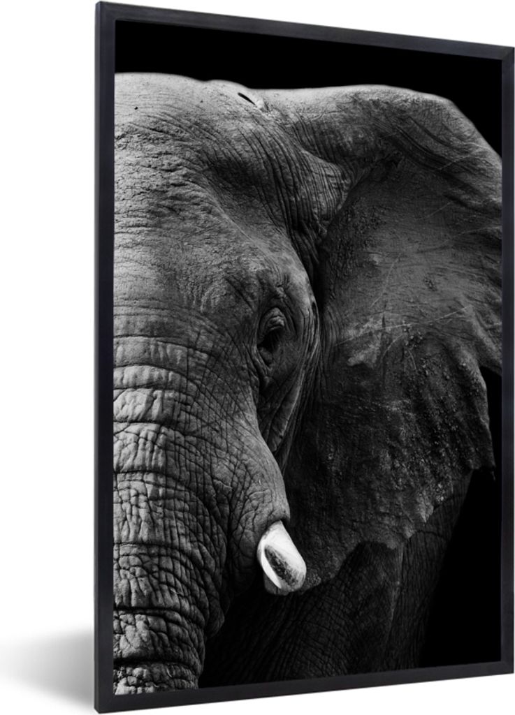 MuchoWow Gerahmtes Poster Tiere - Elefant - Wild - Schwarz - Weiß 20x30 cm - Poster mit Schwarzem Bilderrahmen Wandposter Rahmen Foto Bilder - D...