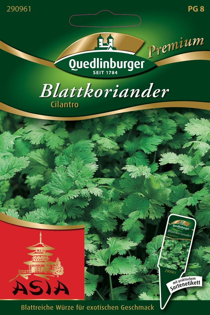 Quedlinburger Saatgut - Koriander Blatt Cilantro - Samen - Produktbild 