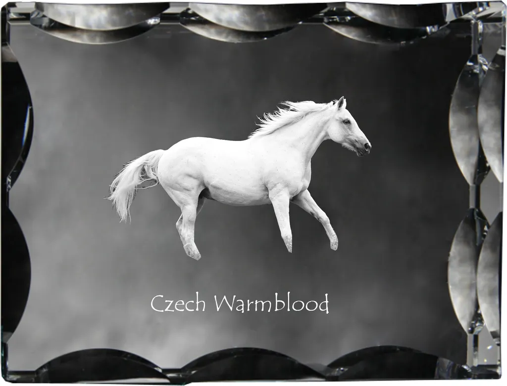 Regalo Unico Cavallo: Cristallo Art-Dog Český Teplokrevník 3D