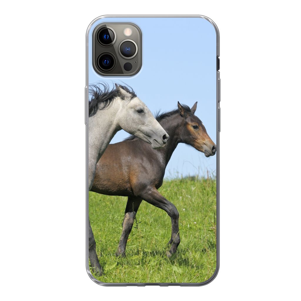 MuchoWow Handyhülle Schutzhülle Hülle für iPhone 12 Pro Max Pferde - Tiere - Gras Silikon Softcase Handy Hülle - Hartschale