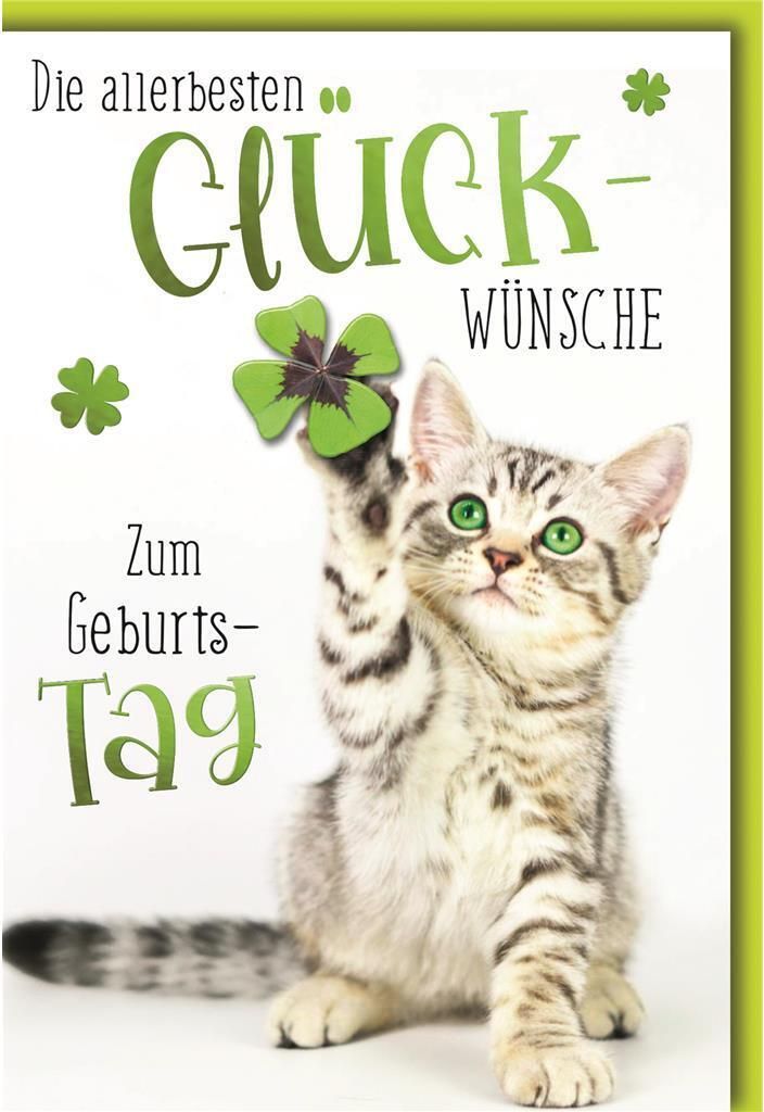 Geburtstag - Glückwunschkarte im Format 11,5 x 17 cm mit Umschlag