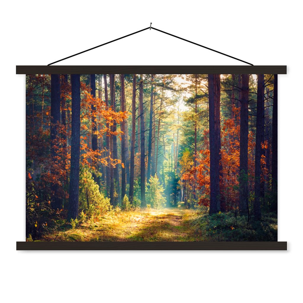 MuchoWow Textilposter Wald - Sonne - Natur - Herbst 60x40 cm mit schwarzem Rahmen - Hölzernes