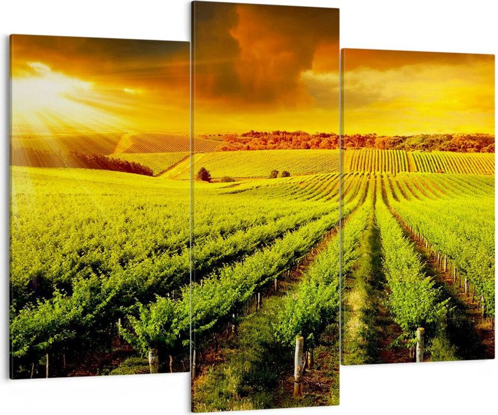 Bild auf Leinwand - Leinwandbild - Land Weingut Pflanzung - 130x100cm - Wand Bild - Wanddeko - Leinwanddruck - Bilder - Kunstdruck - Wanddekoration...