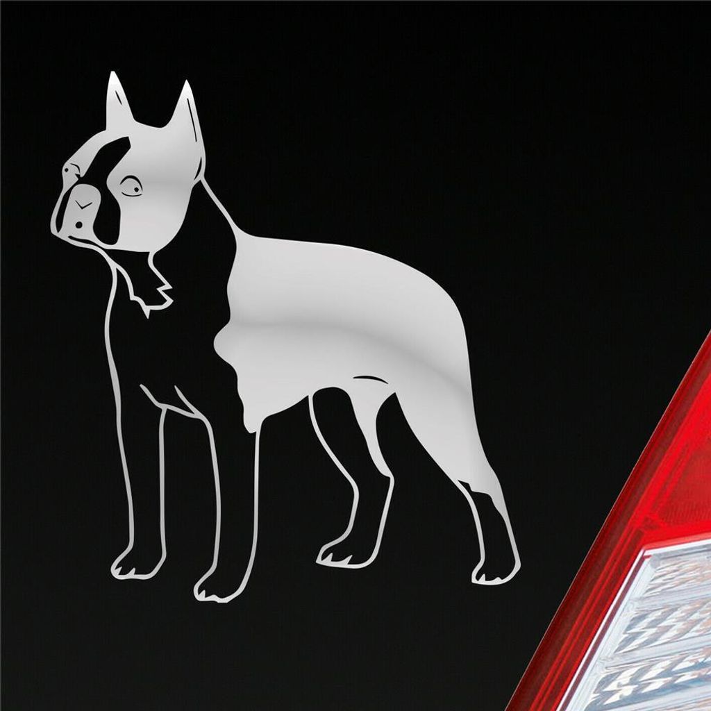 Auto Aufkleber Boston Terrier Hund Dog Animal 12x10 cm Silber Sticker Heckscheibenaufkleber