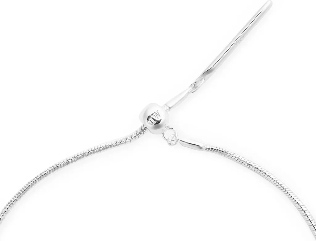 Daniel Wellington Chaîne à breloques serpent argent DW00401048 chic