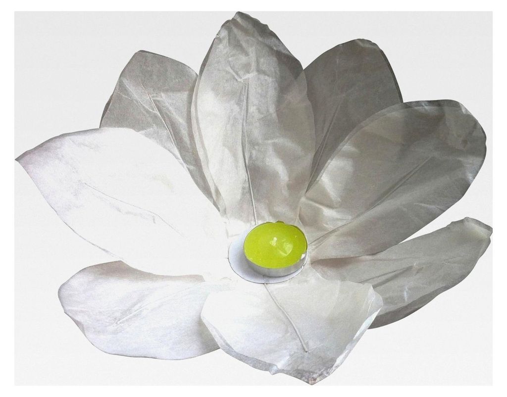 10 Stück Wasserlaterne Lotusblüte Seerose Schwimmlaterne mit Teelichtern Weiß