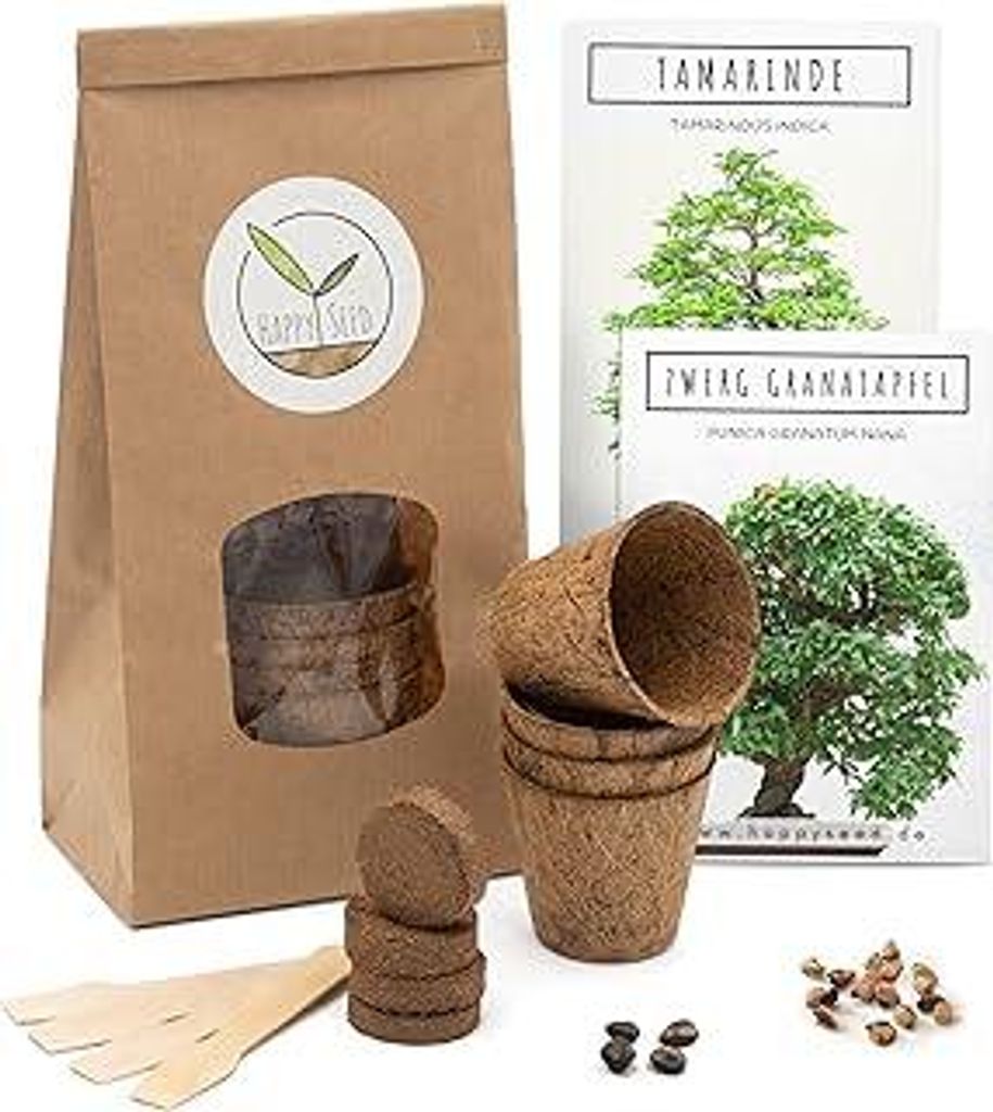 HappySeed Bonsai Starter Kit Anzuchtset inkl. GRATIS eBook - Pflanzset aus Kokostöpfen, Samen & Erde - nachhaltige Geschenkidee für Pflanzenfreun...