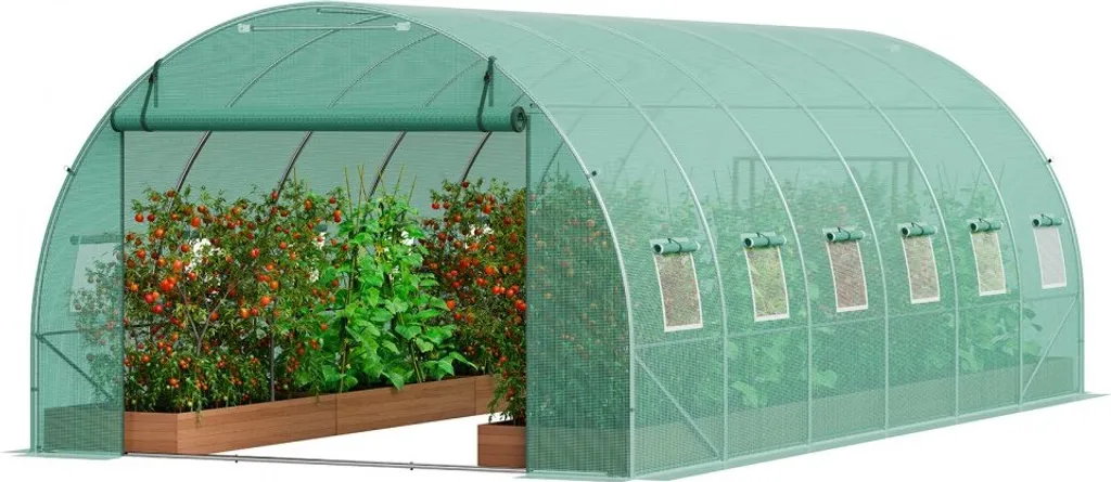 Serre tunnel de culture 18m2 idéale pour tomates et potager d'envergure