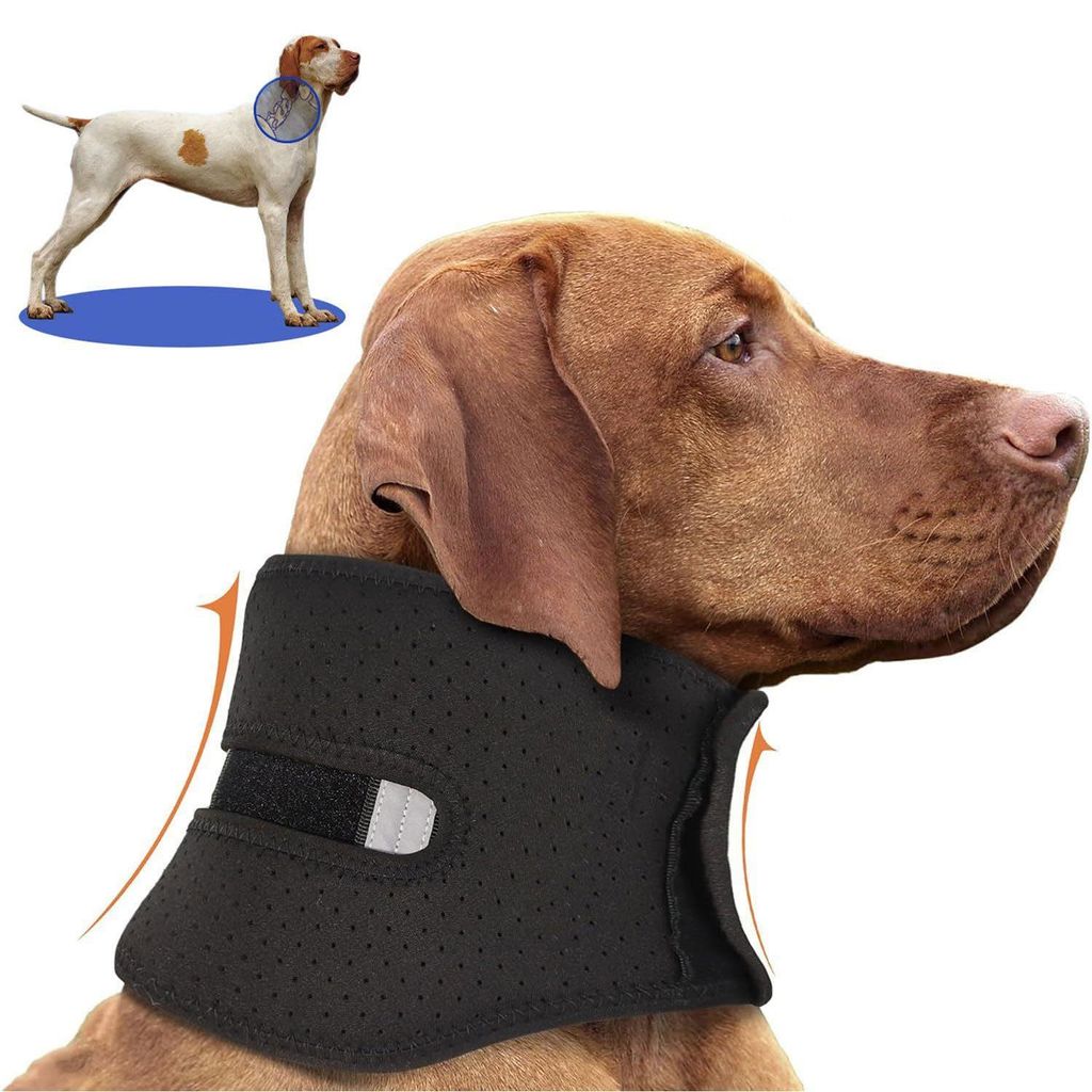 Verstellbare Halskrause Hund Hundekragen, Hundekragen Leckschutz, Schutzkragen Hund, XL