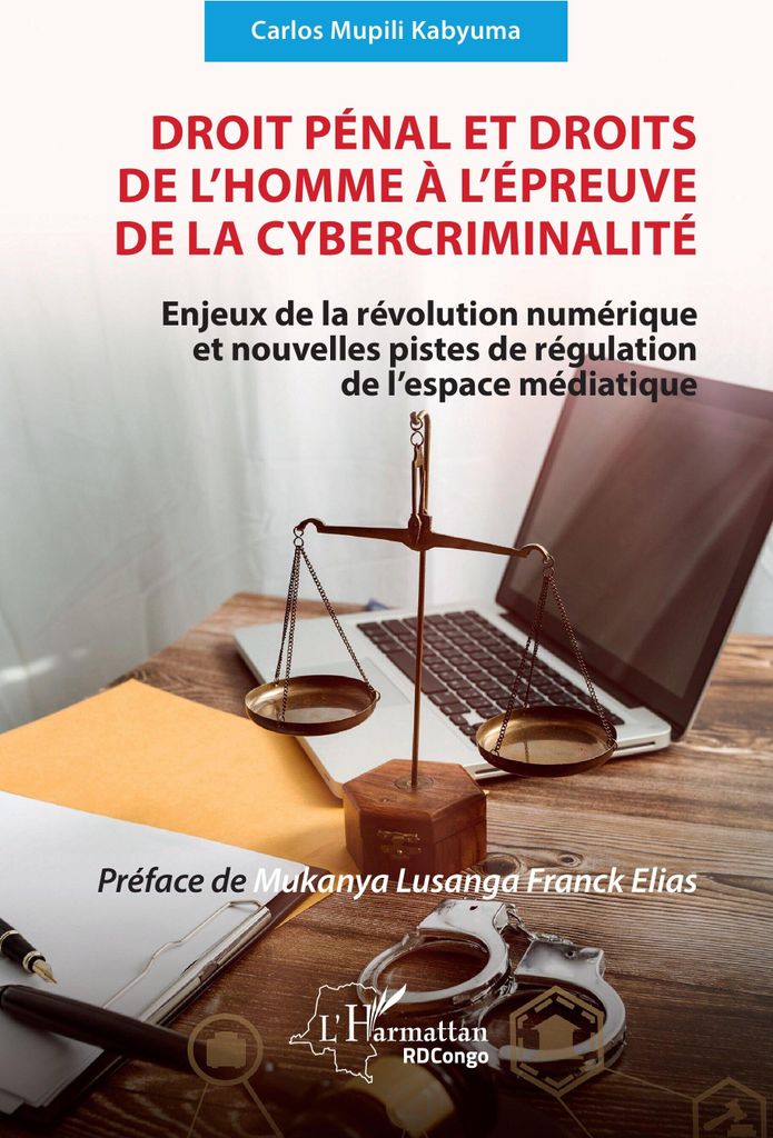 Droit pénal et droits de l'homme à l'épreuve de la cybercriminalité