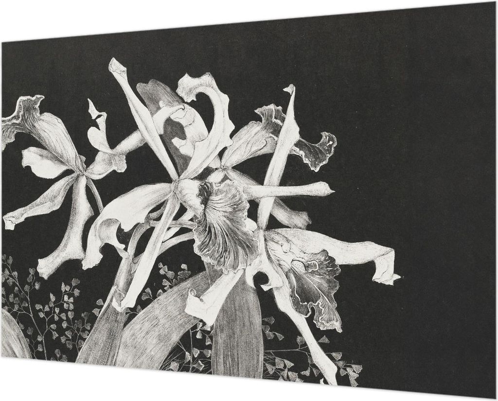Wandtapete - Dekorative Tapete für Wohnzimmer - Tapetenfolie für Wanddekoration - 152x104 cm - Orchideenillustration