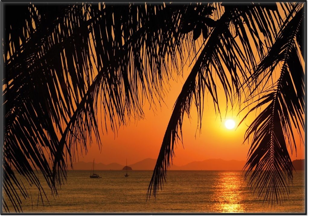 Wallario Wandbild Sonnenuntergang unter Palmenblättern, Größe: 70,30 x 100,30 cm, Poster mit schwarzem Aluminiumrahmen