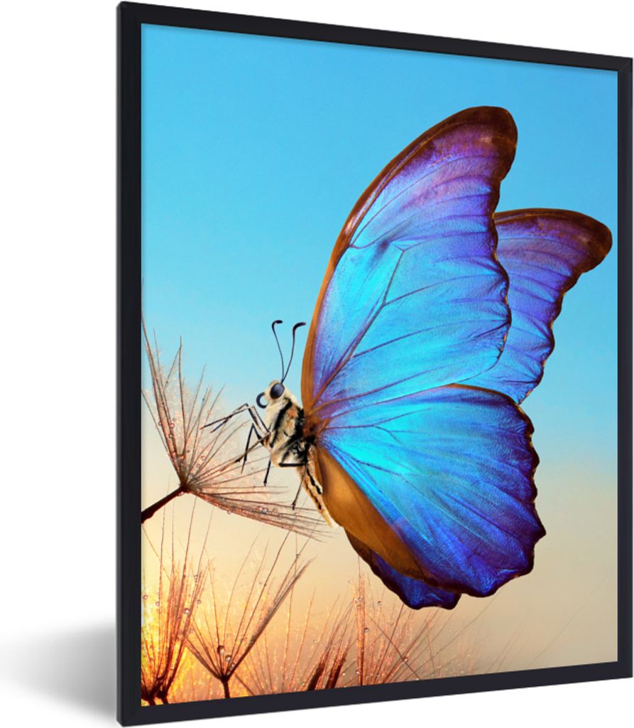 MuchoWow Gerahmtes Poster Schmetterling - Löwenzahn - Blau 30x40 cm - Poster mit Schwarzem Bilderrahmen Wandposter Rahmen Foto Bilder - Wanddeko...