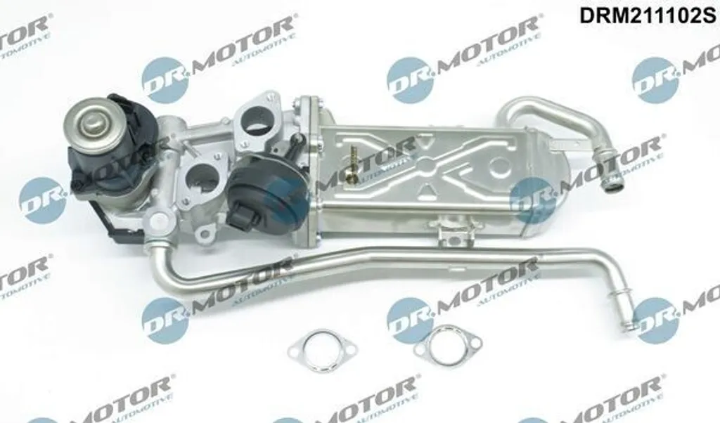 DR.MOTOR AUTOMOTIVE DRM211102S Valvola EGR con guarnizione per VW Polo hatchback (6R1, 6C1) Valvola di ricircolo dei gas di scarico