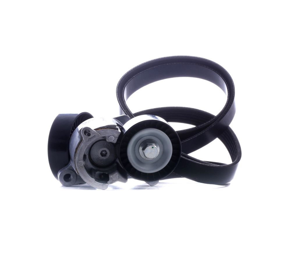 RIDEX 542R0214 Keilrippenriemensatz für FIAT Ulysse (179)