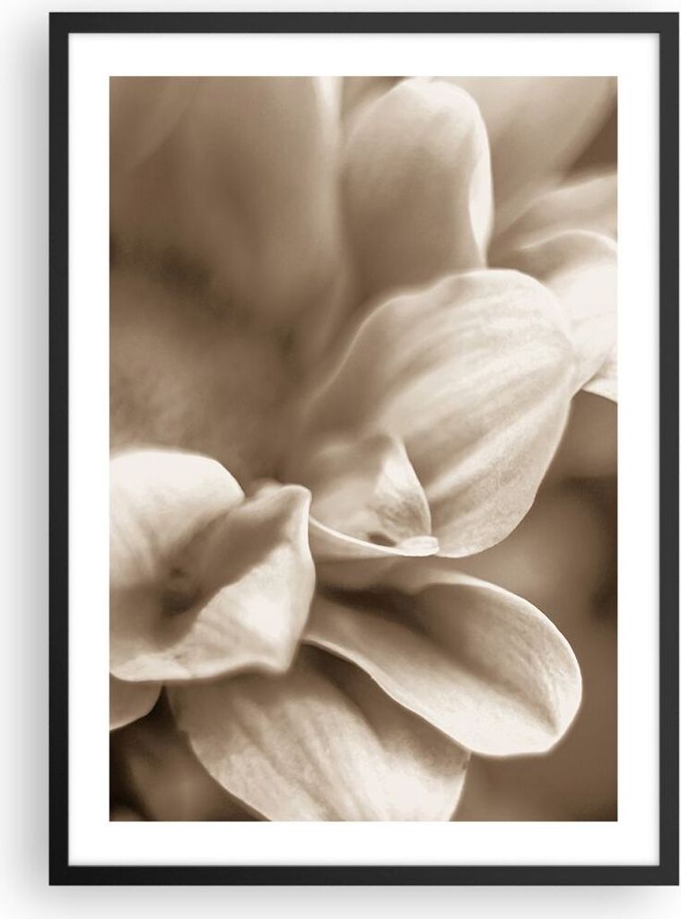 Gerahmtes Poster - Schwarzer Rahmen - Blumen Boho ohne - 50x70 cm - Wand Bild - Wanddeko - Wandbilder - Kunstposter - Wandposter - Bilderrahmen - B...