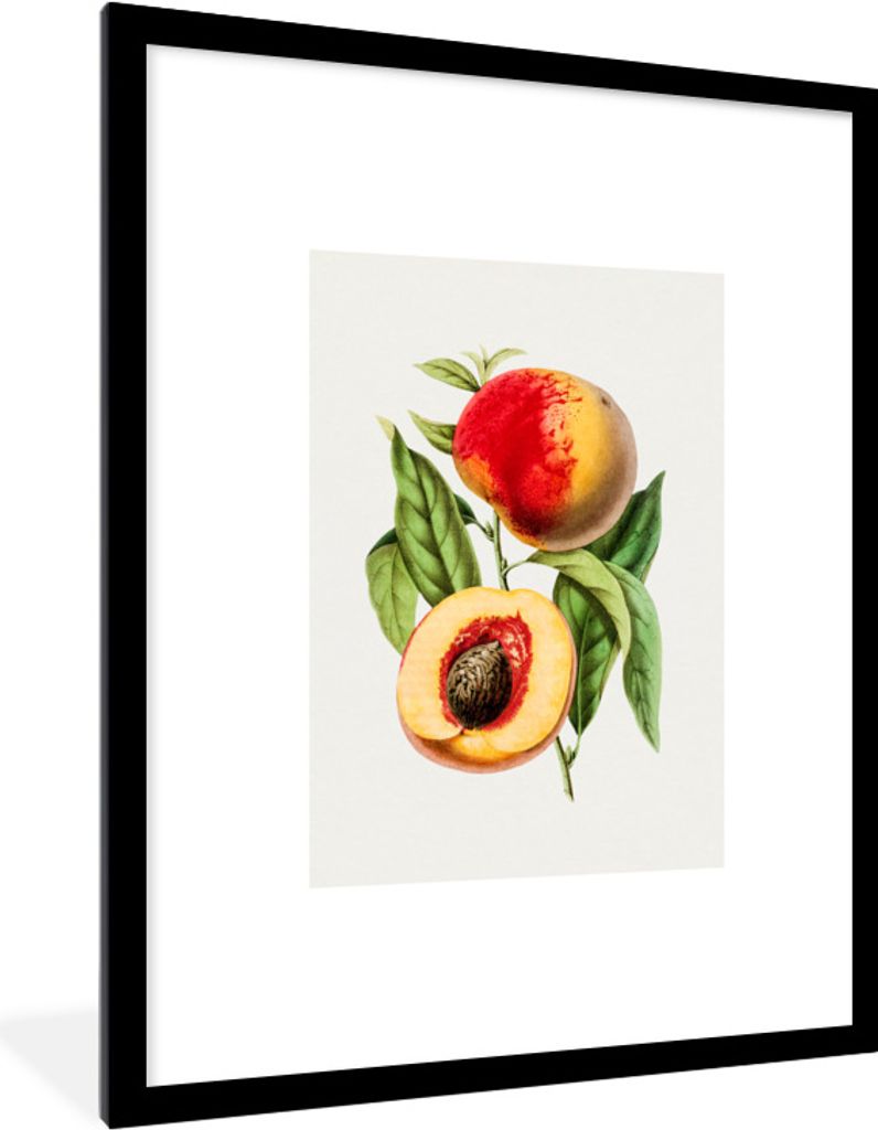 MuchoWow Gerahmtes Poster Pfirsich - Nuss - Lebensmittel 60x80 cm - Poster mit Schwarzem Bilderrahmen Wandposter Rahmen Foto Bilder - Wohnzimmer ...
