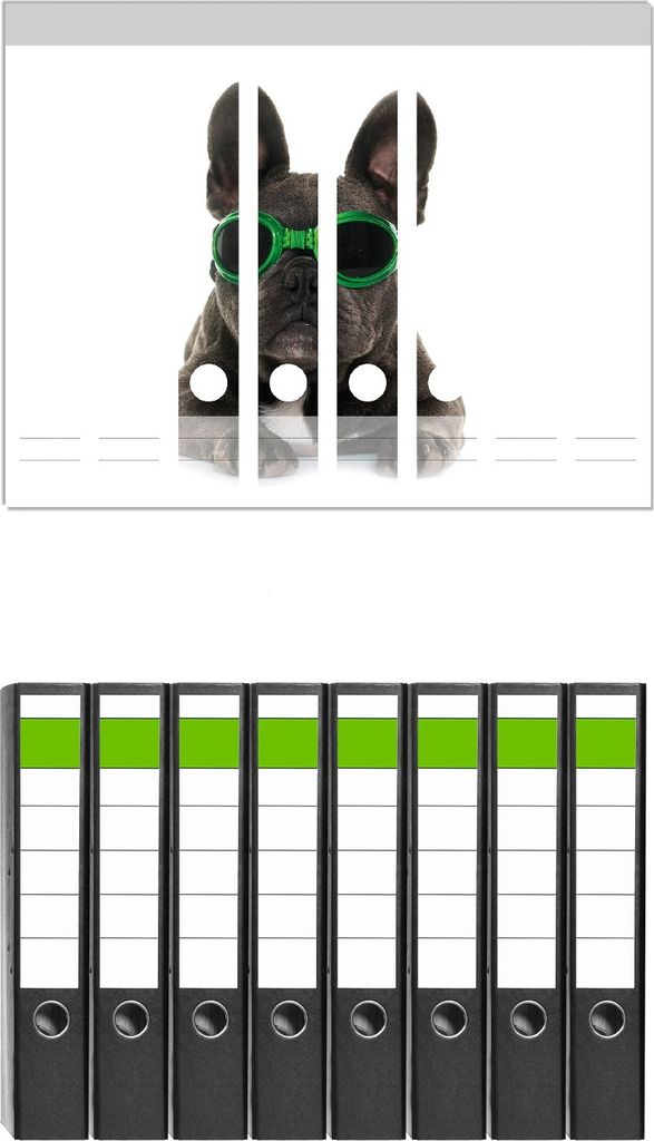 Wallario 8 Stück schmale Ordner inkl. Klebeetiketten mit Motive Cooler Hund mit Sonnenbrille in grün - Französische Bulldogge - Set mit Rücken...
