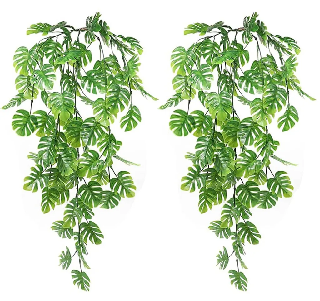 Décoration murale végétale : plantes suspendues pour chambre et bureau