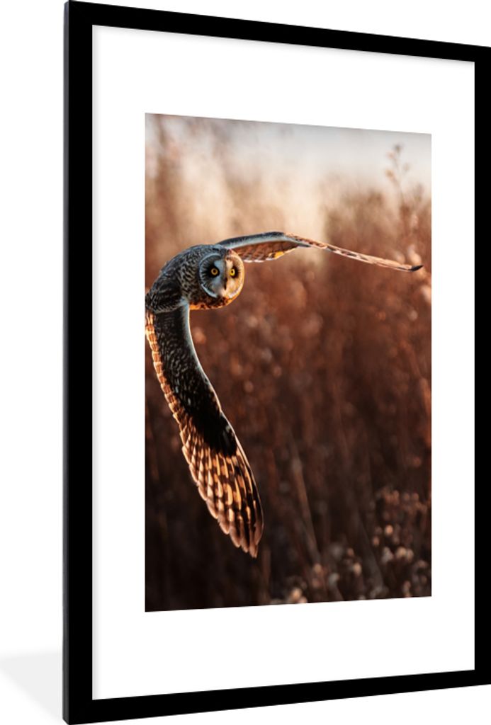 MuchoWow Gerahmtes Poster Vogel - Eule - Sonnenuntergang - Natur 60x90 cm - Poster mit Schwarzem Bilderrahmen Wandposter Rahmen Foto Bilder - Dek...