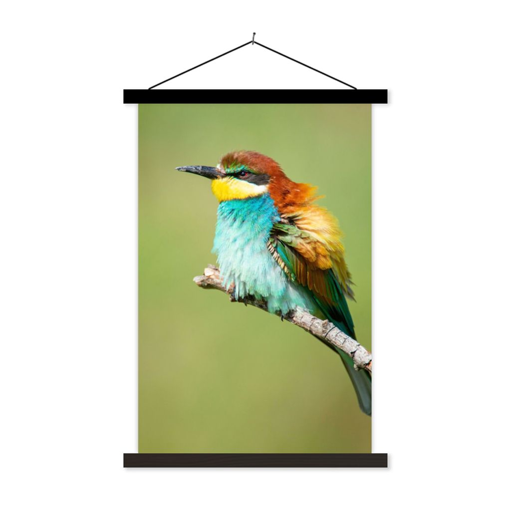 MuchoWow Textilposter Vogel - Tiere - Bienenfresser 40x60 cm mit schwarzem Rahmen - Wanddekorationen