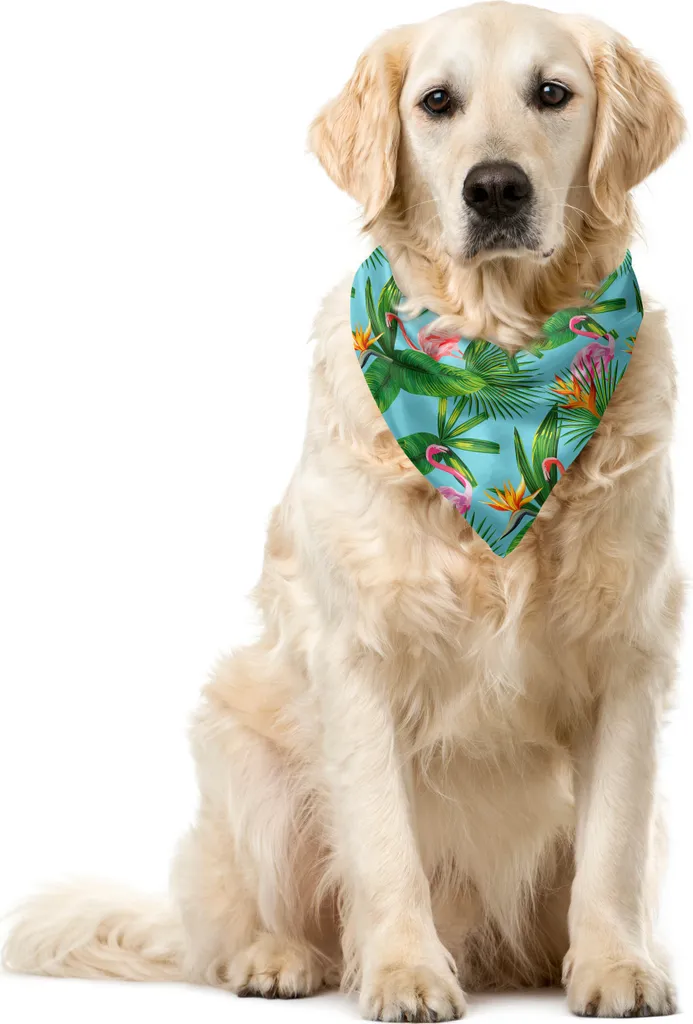 ABAKUHAUS Bandana tropicale per animali domestici, motivo con fenicotteri, 55x55 cm, azzurro pallido e verde felce