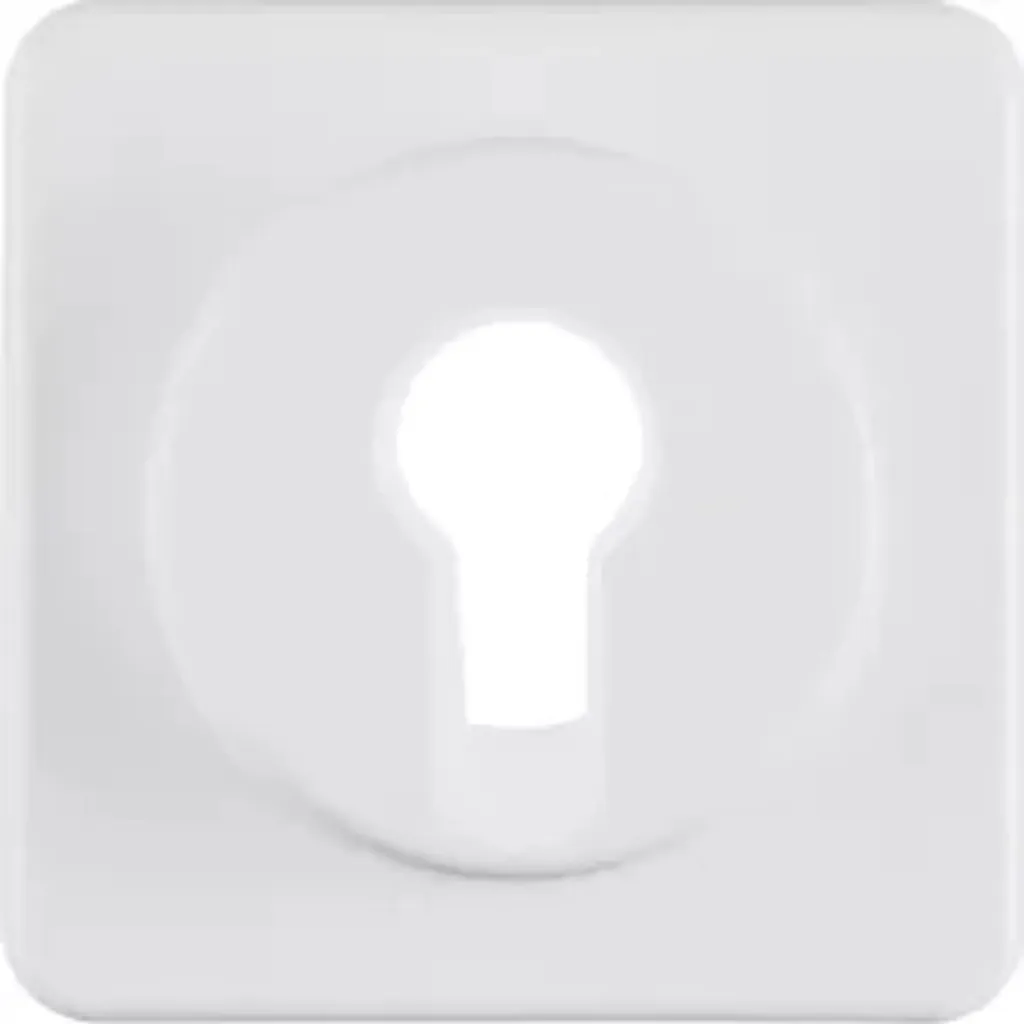 Berker 151919 Enjoliveur pour Interrupteur à Clé Blanc Polaire IP44