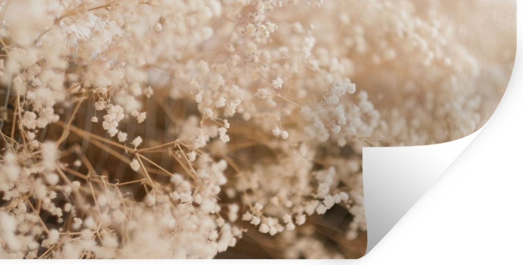 MuchoWow Wandtattoo Wandsticker Wandaufkleber Pampasgras - Pflanze - Natur 160x80 cm Selbstklebend und Repositionierbar - Sticker - Dekorfolie