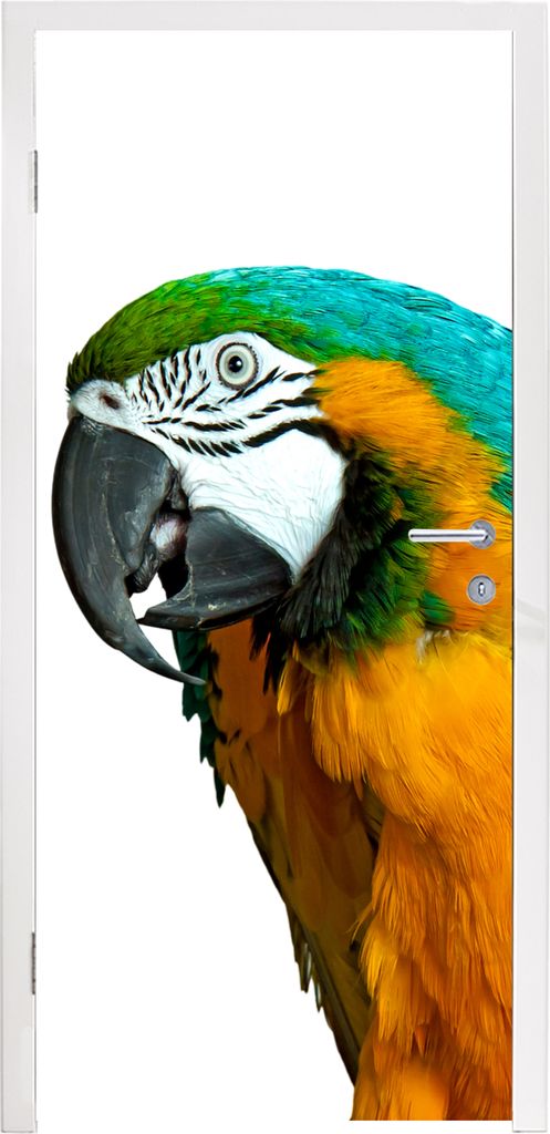 MuchoWow Türtapete Selbstklebende Türfolie Papagei - Vogel - Federn - Porträt 95x215 cm Türposter Türaufkleber Klebefolie Türklebefolie - T...