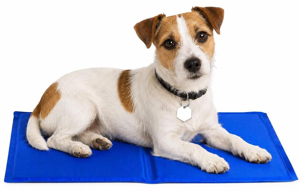 lionto Kühlmatte, angenehme Abkühlung für Hunde & Katzen, selbstkühlend & sicher, ideal für Sommer & Reisen, 90x50 cm, blau