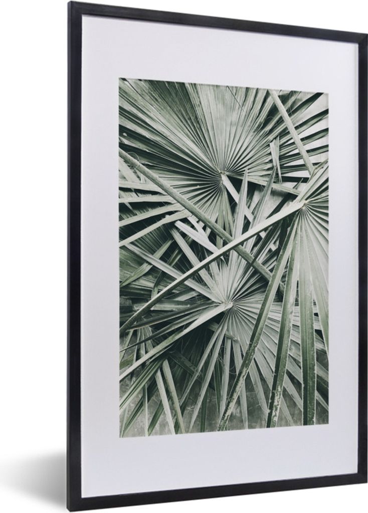 MuchoWow Gerahmtes Poster Tropisch - Palmenblatt - Grün 40x60 cm - Poster mit Schwarzem Bilderrahmen Wandposter Rahmen Foto Bilder - Poster in R...