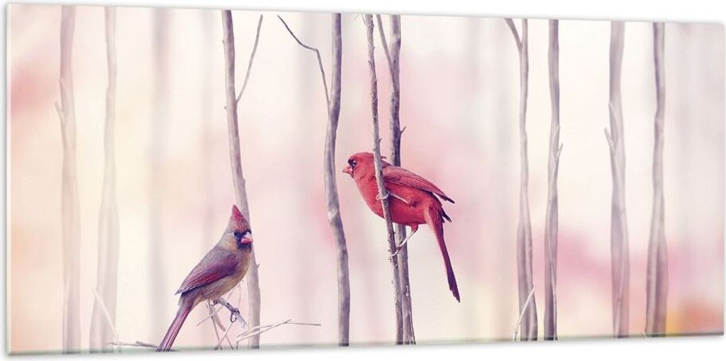 Bilder auf glas - Einteilig - Vögel Kardinal Scharlachrot - 120x50cm - Glasbilder - Wandbilder - Bilder - Wanddekoration aus Glas - Glas Bilder - ...