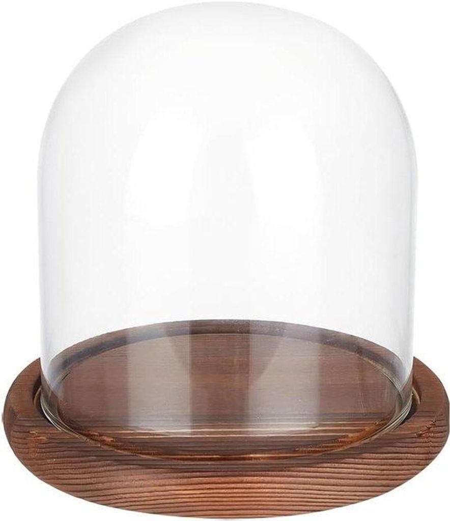 Glas Cover Cloche Dome Micro Landschaft mit Holzbasis - DIY Blumenkunst - Dekorative Blumenklok von 14x13 cm