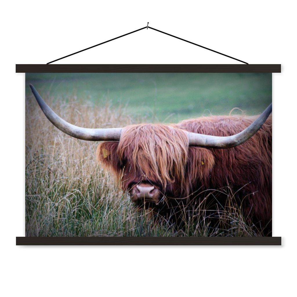 MuchoWow Textilposter Schottischer Highlander - Porträt - Rindsleder 90x60 cm mit schwarzem Rahmen - Aufhängungssatz
