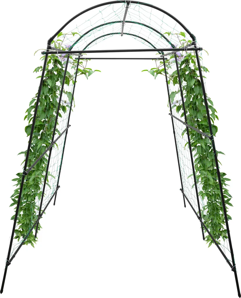 Arc de roses en métal noir résistant 2,3m support plantes grimpantes