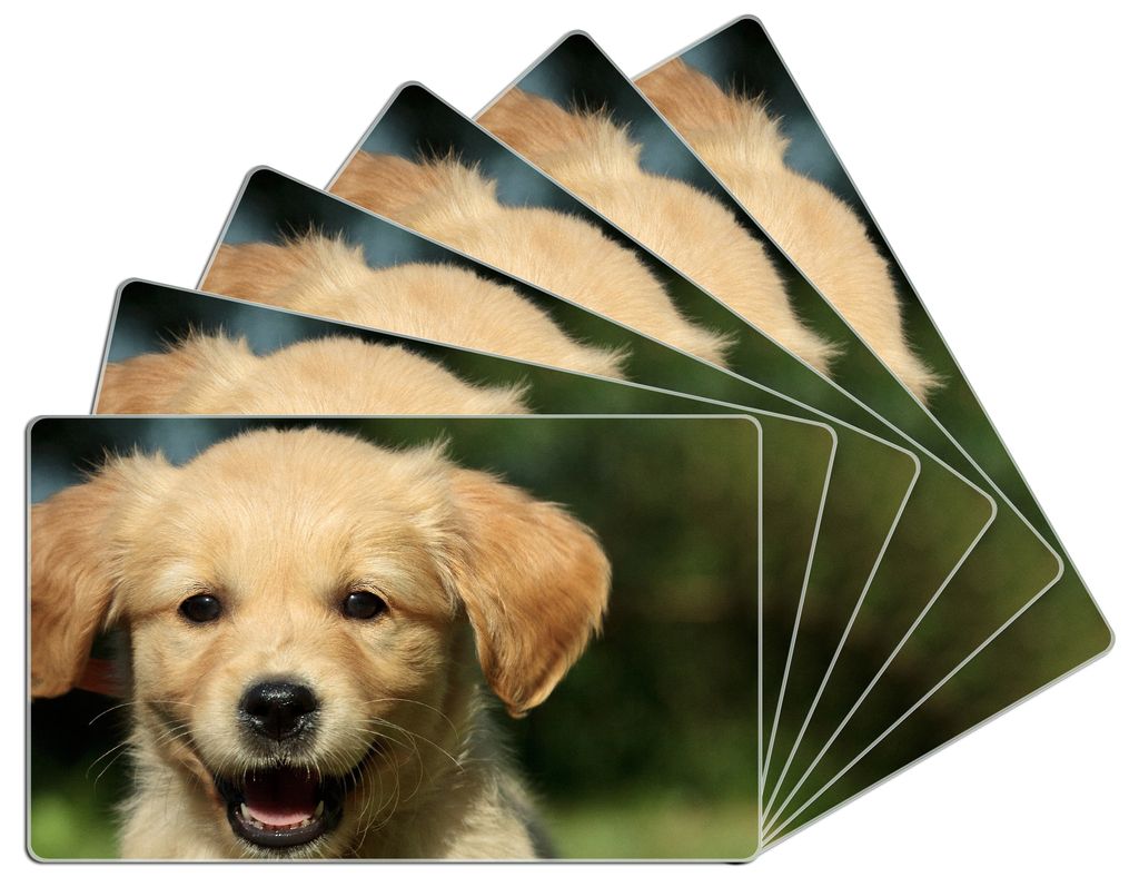 Wallario Frühstücksbrettchen 6er Set aus Glas, je 14 x 23 cm, mit rutschfesten Füßen, Motiv Süßer Hund - Golden Retriever
