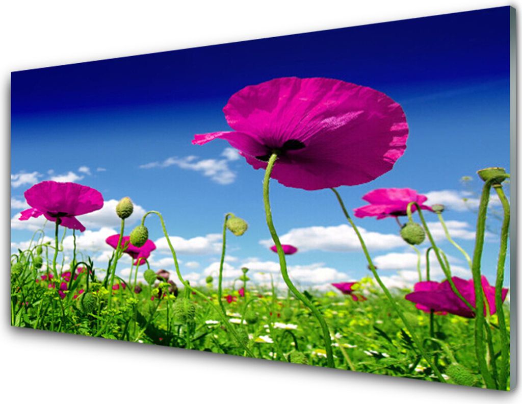 Acrylglasbilder 100x50 Wandbild Druck Wiese Blumen Natur Produktbild 